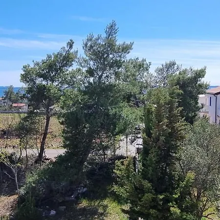 Torovi Hills Apartman Vir