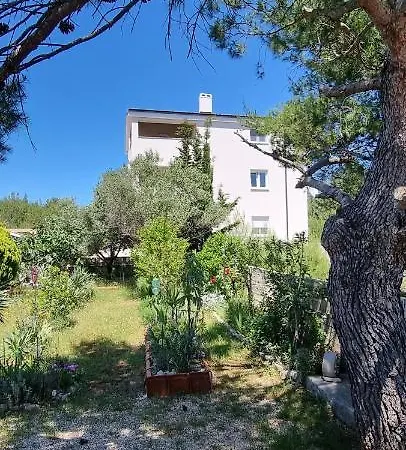 Torovi Hills Apartman